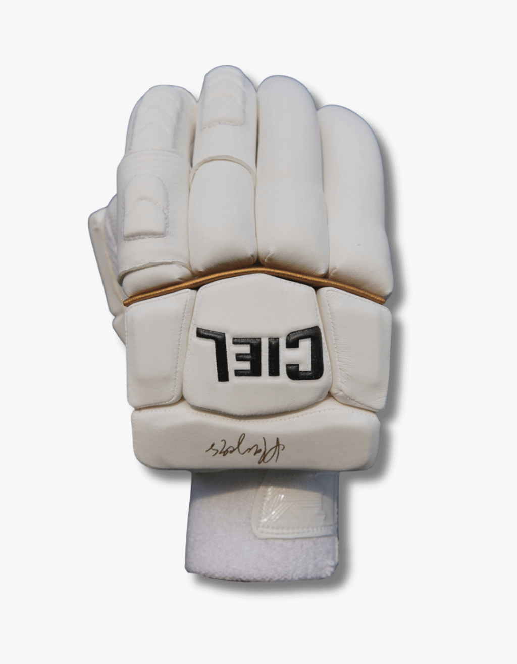 ciel sports player edition cricket gloves back