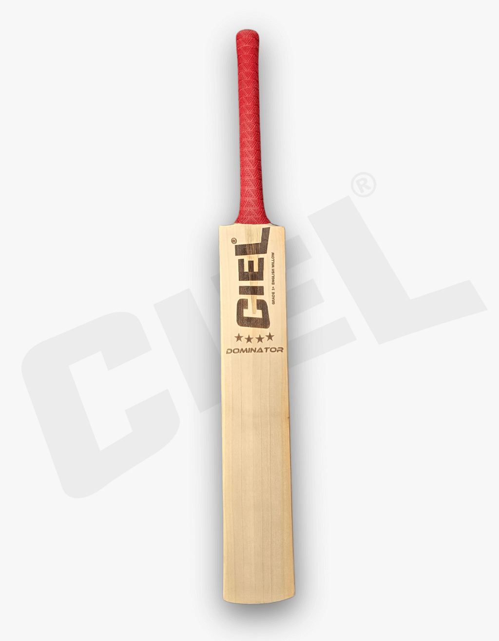 Dominator Edition Grade 1+ English Willow Bat – Front view highlighting the premium quality, superb balance, and powerful performance for leather ball cricket.