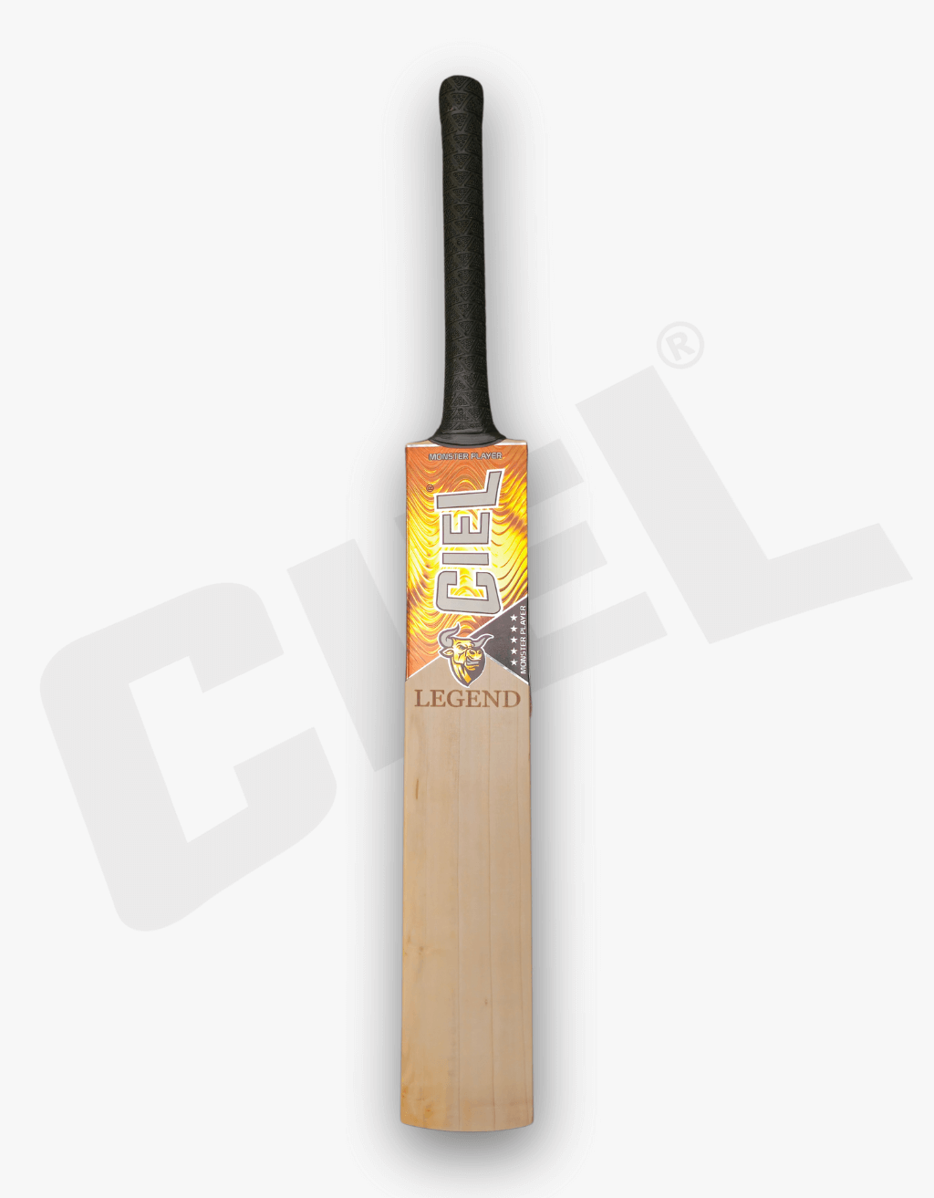 Legend Edition Leather Bat – Front view displaying its elegant profile, premium willow, and ideal design for professional leather ball cricket.