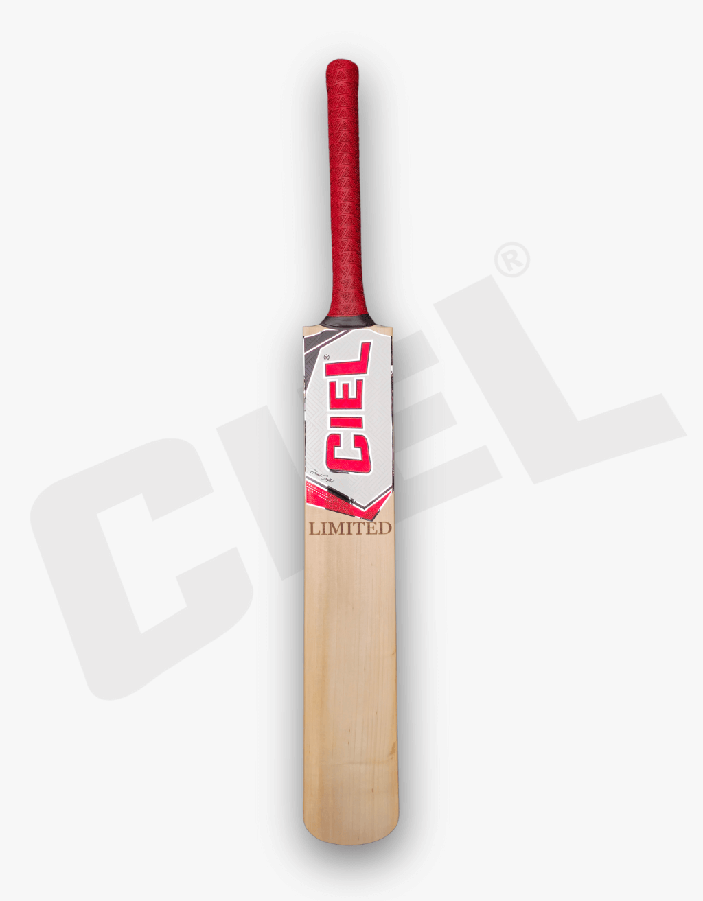 Limited Edition Leather Bat – Front view showcasing its clean face, premium willow, and professional-grade design for high-performance leather ball cricket