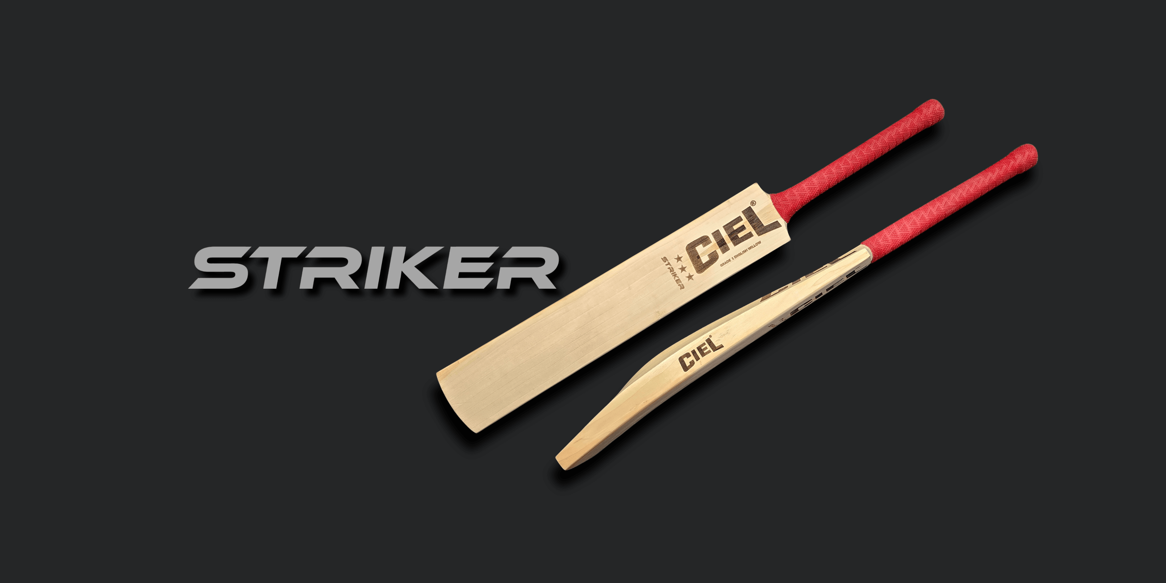Striker Grade 1 English Willow Bat – Desktop hero banner highlighting superior craftsmanship, premium willow, and exceptional balance for leather ball cricket.