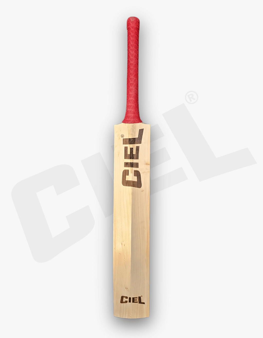 Titan Pro Player Edition English Willow Bat – Back view highlighting the premium grain structure, superb balance, and high-quality craftsmanship for exceptional performance in leather ball cricket.