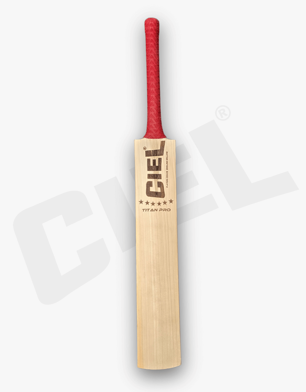 Titan Pro Player Edition English Willow Bat – Front view showcasing the premium grain, solid construction, and excellent balance, designed for unmatched performance in leather ball cricket.