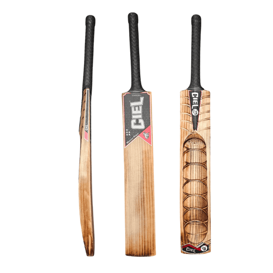 Best Cricket Bat for Gully Cricket India — Complete Guide 2026