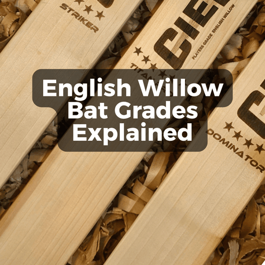 English willow bat grades explained — Ciel Sports Titan Pro Player Grade English willow bat 8 or 8+ straight grains blemish-free face Meerut manufacturer