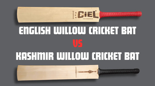 generate a thumbnail for English willow cricket bat vs kashmir willow cricket bat