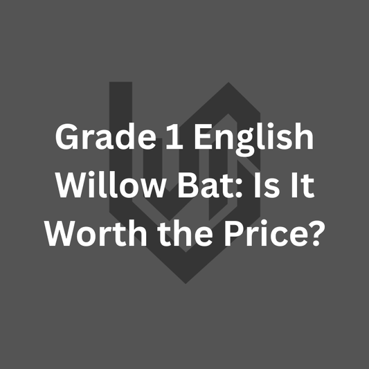 Grade 1 English Willow Bat: Is It Worth the Price?