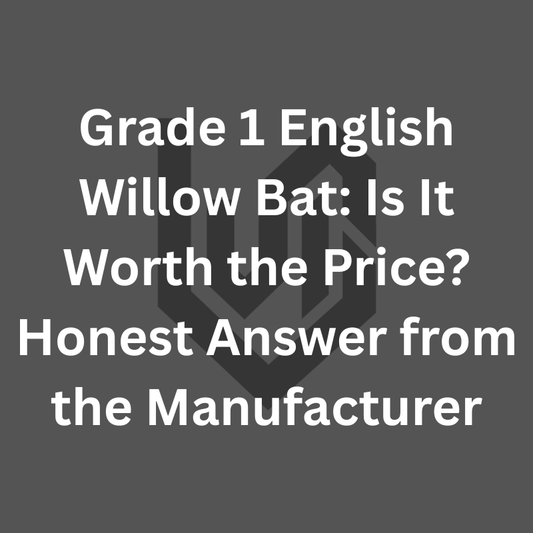 Grade 1 English willow bat is it worth the price — Striker Grade 1 front side and back views. Ciel Sports Rs.23,999 factory-direct Meerut.