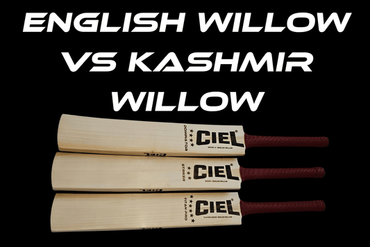 Kashmir Willow vs English Willow: Which Cricket Bat Is Better?