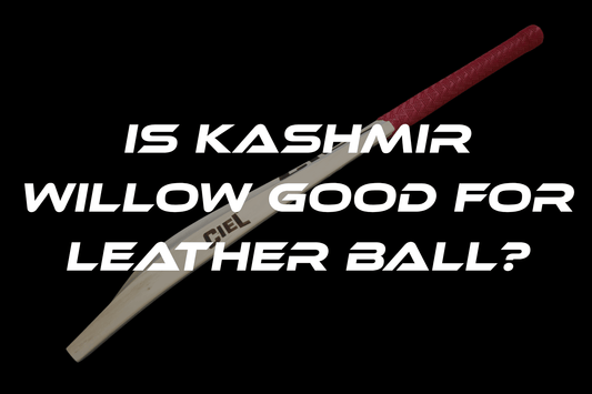 Is Kashmir Willow Good for Leather Ball Cricket? (Complete Guide)