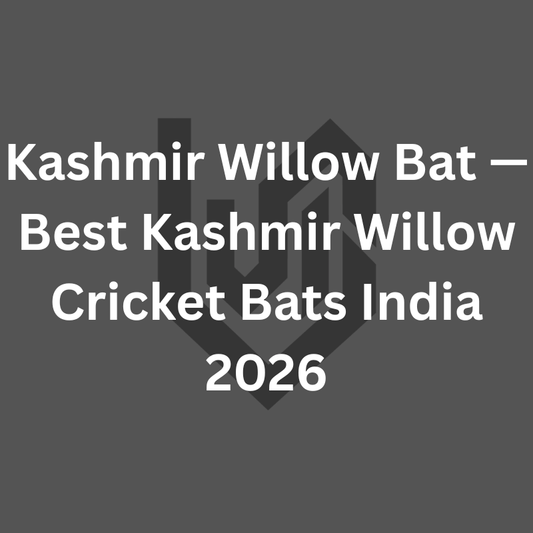 Kashmir willow bat stock at Cielsports factory Meerut — best Kashmir willow cricket bats India 2026