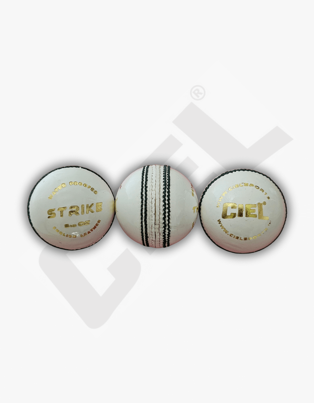 STRIKE LEATHER CRICKET BAL – BEST FOR T20 MATCHES