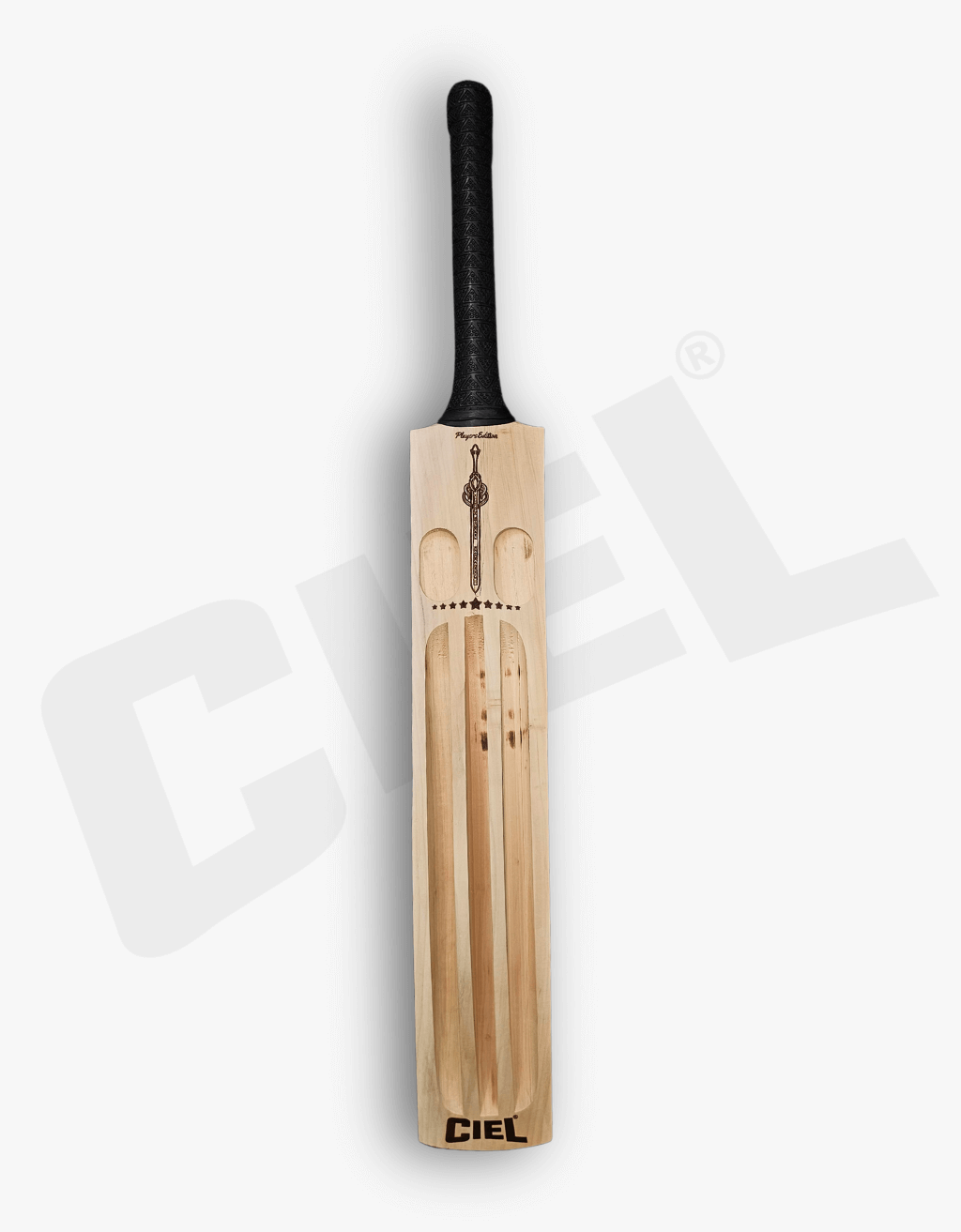 Back view of the Fighter Bat showcasing its sleek design and craftsmanship.