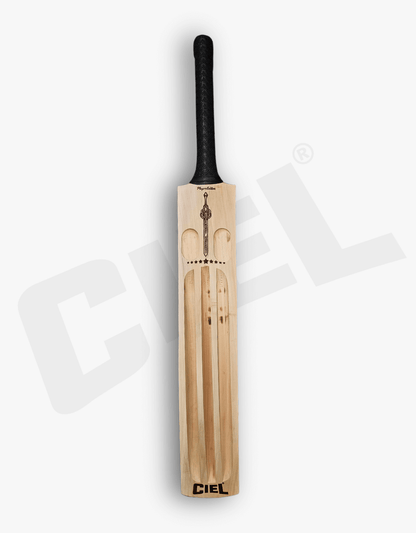 Back view of the Fighter Bat showcasing its sleek design and craftsmanship.