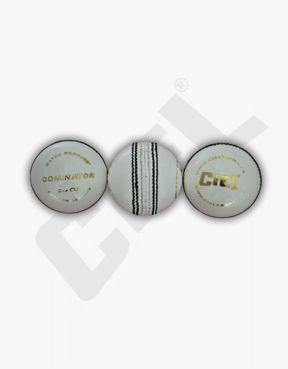 DOMINATOR LEATHER BALL (50+ OVERS)