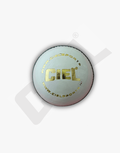 DOMINATOR LEATHER BALL (50+ OVERS)