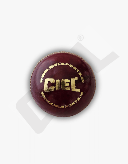 DOMINATOR LEATHER BALL (50+ OVERS)