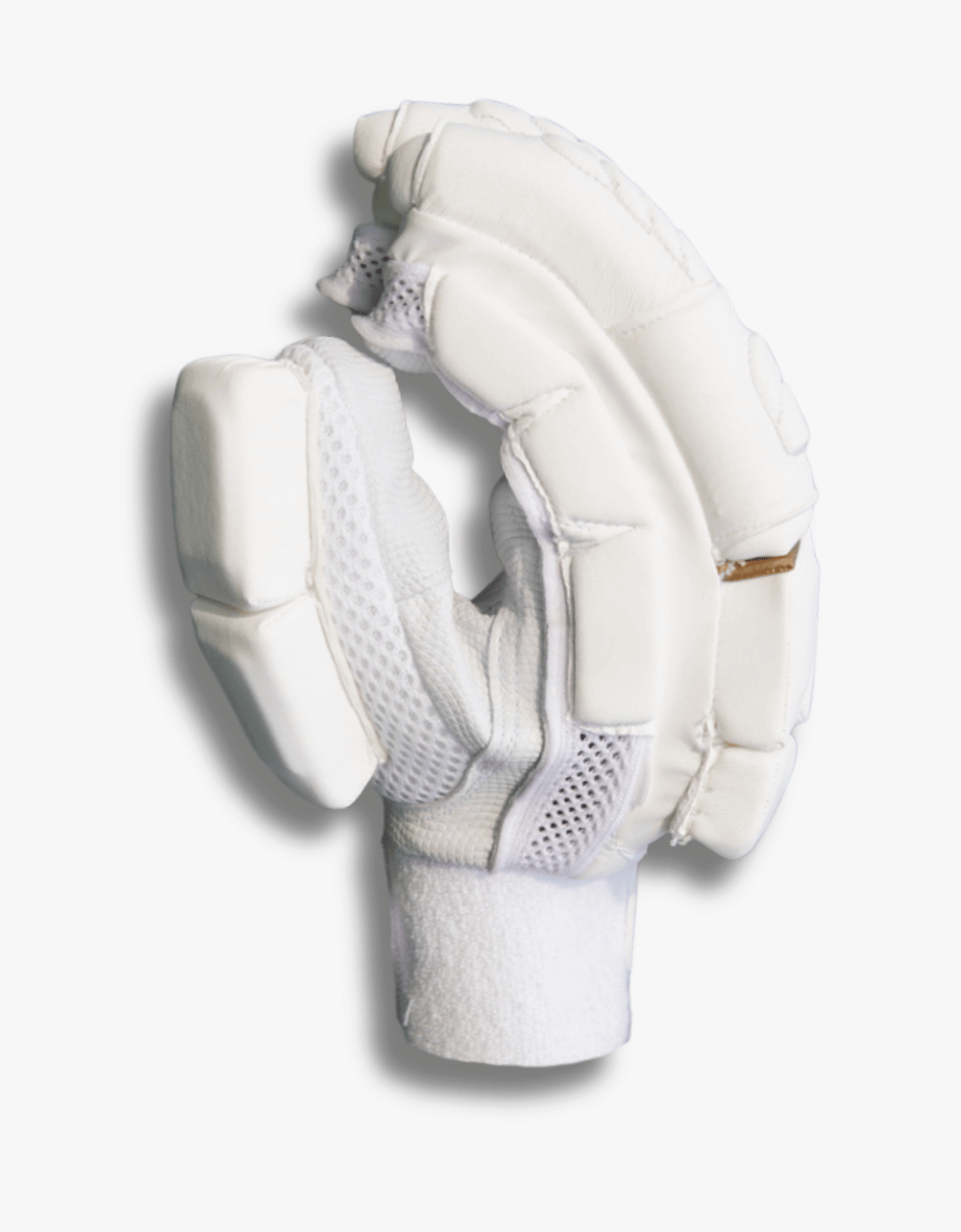 leather ball cricket batting gloves player edition