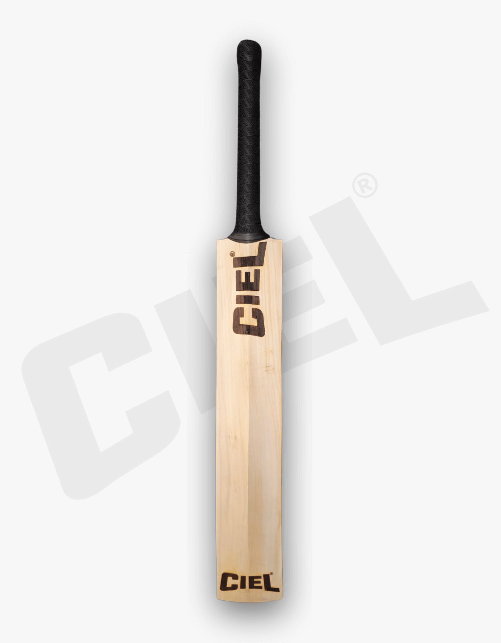 Player Edition Bat – Back profile showcasing its expert craftsmanship and design, perfect for professional cricketers looking for balance and power.