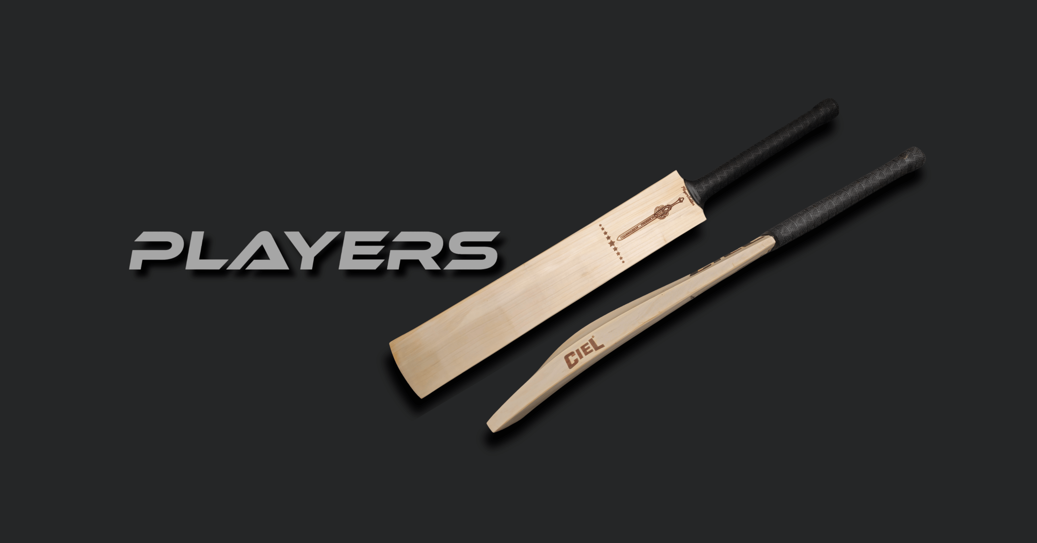 Load video: 6 Different profiles of player edition leather cricket bat explained