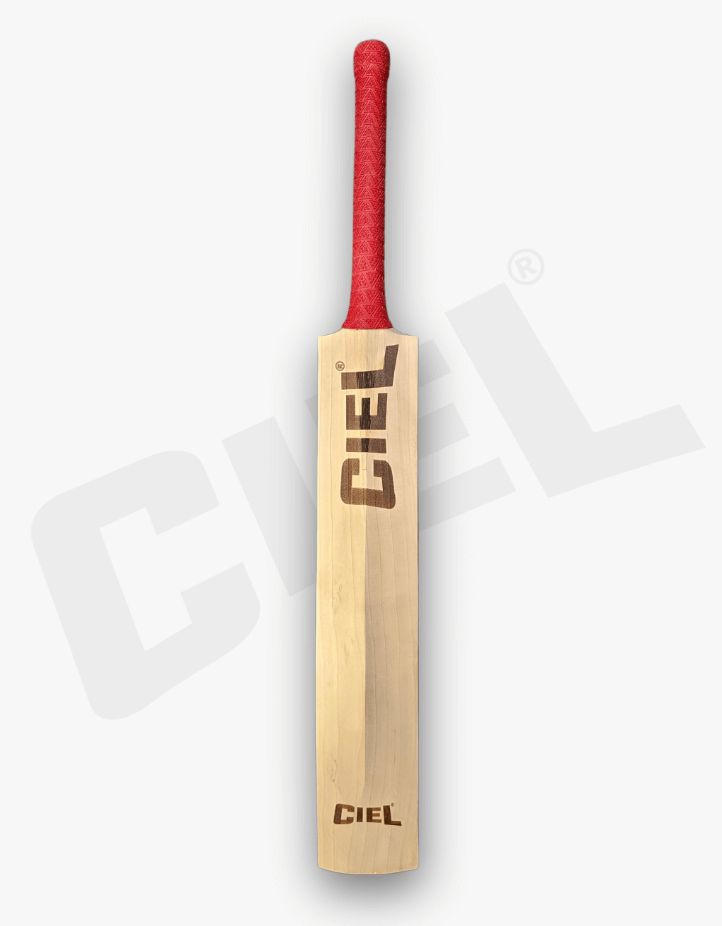 Striker Edition Grade 1 English Willow Bat – Back view showcasing the premium grain structure and excellent balance for leather ball cricket.