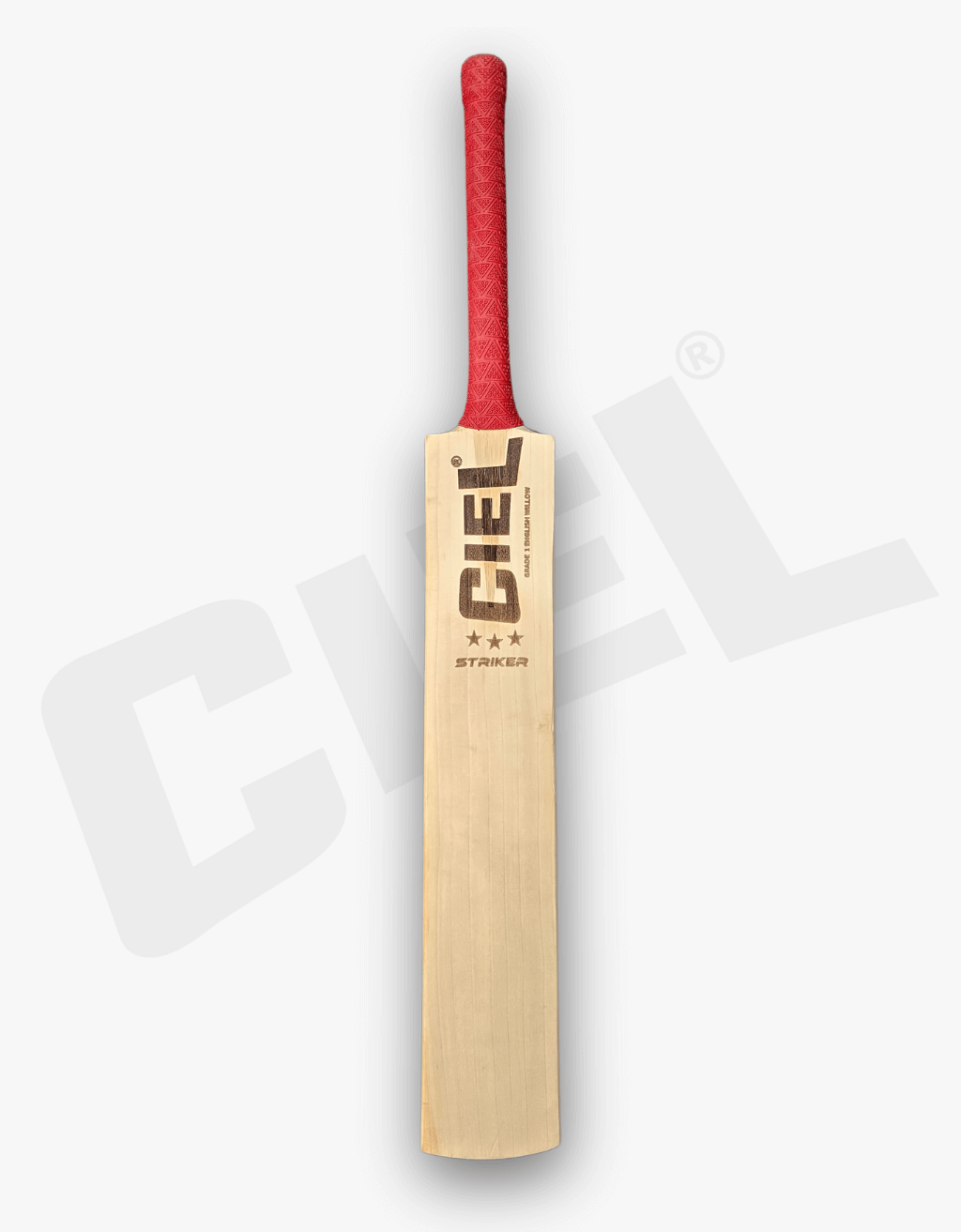 Striker Edition Grade 1 English Willow Bat – Front view highlighting the premium craftsmanship, solid power, and balance for leather ball cricket.