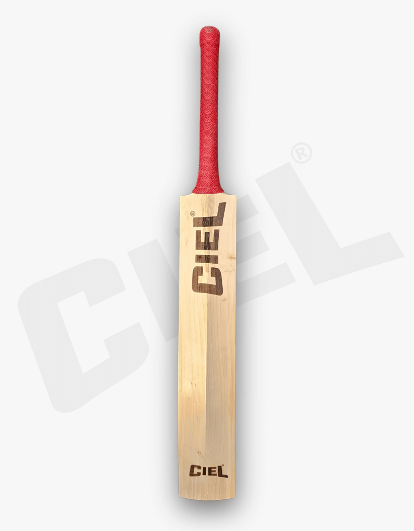 TITAN PRO - ELITE ENGLISH WILLOW CRICKET BAT – Ciel Sports